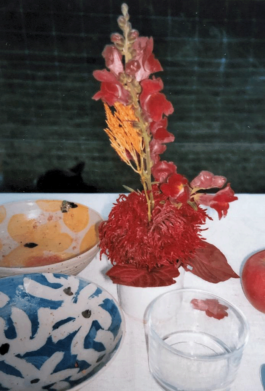 Franziska 
Kronmüller