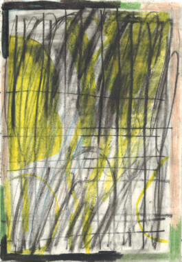 Franziska 
Kronmüller